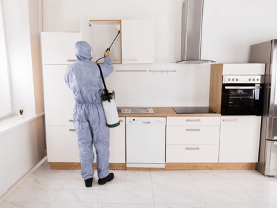 About Mosquito Fogging Mound - mosquito fogging experts in Mound
